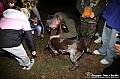 VBS_3128 - Inaugurazione Stagione raccolta tartufi 2024-25